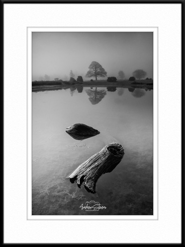 Mono Opportunities